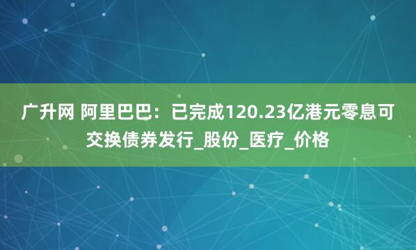 广升网 阿里巴巴：已完成120.23亿港元零息可交换债券发行_股份_医疗_价格