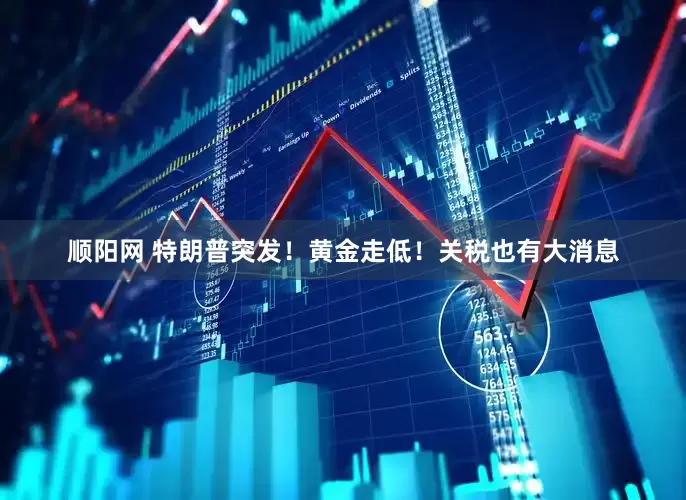 顺阳网 特朗普突发！黄金走低！关税也有大消息