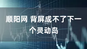 顺阳网 背屏成不了下一个灵动岛