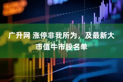 广升网 涨停非我所为，及最新大市值牛市股名单