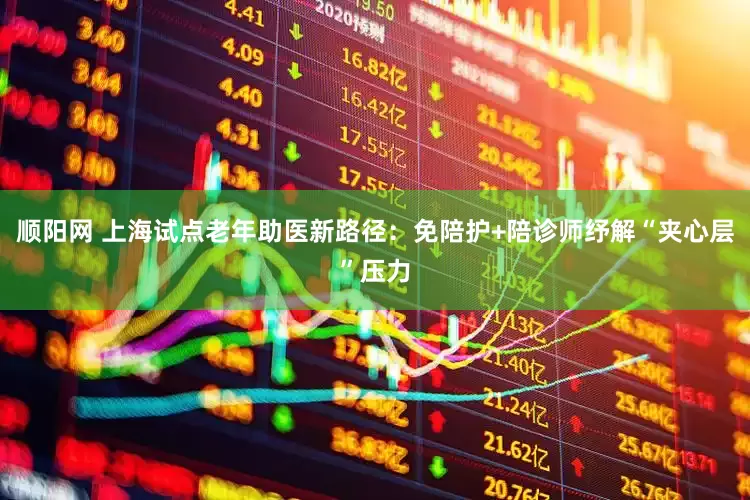 顺阳网 上海试点老年助医新路径：免陪护+陪诊师纾解“夹心层”压力